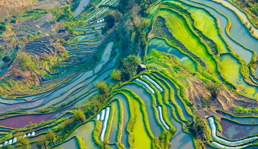 宝妈必备神器：金水区产品视频拍摄轻松育儿好帮手